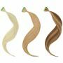 Di Biase Hair Tape Extensions